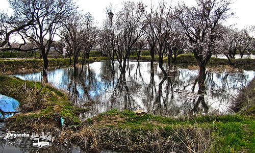 باغستان‌های تاریخی در میان معروف‌ترین جاهای دیدنی قزوین