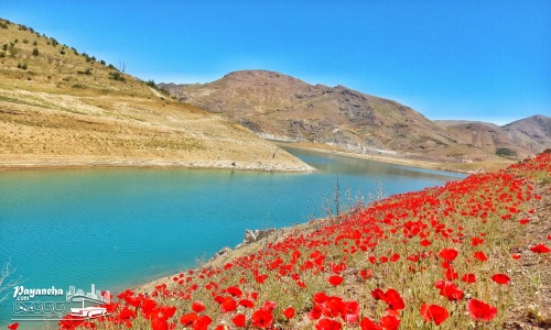 گذراندن اوقات فراغت در دریاچه کامیاران در میان جاهای دیدنی کامیاران