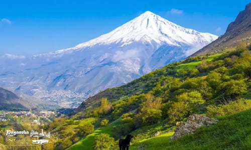 دشت آزو در میان جاهای تفریحی اطراف تهران در تابستان با مراتع سرسبز