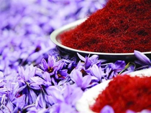 سفر به بیرجند - خرید بلیط اتوبوس - بلیط اتوبوس سفر به بیرجند - خرید بلیط اتوبوس - بلیط اتوبوس