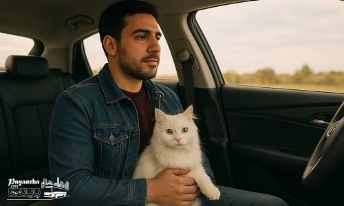 حمل حیوان خانگی با سواری چجور انجام می گیرد