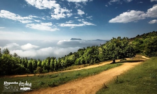 جنگل ابر شاهرود کجاست