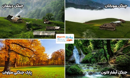 بهترین-جنگل-های-گیلان-برای-کمپ