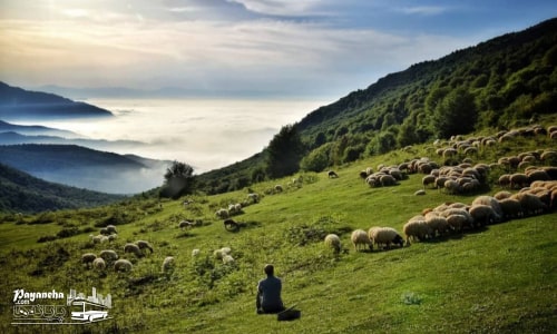 مکان های دیدنی جنگل ابر شاهرود