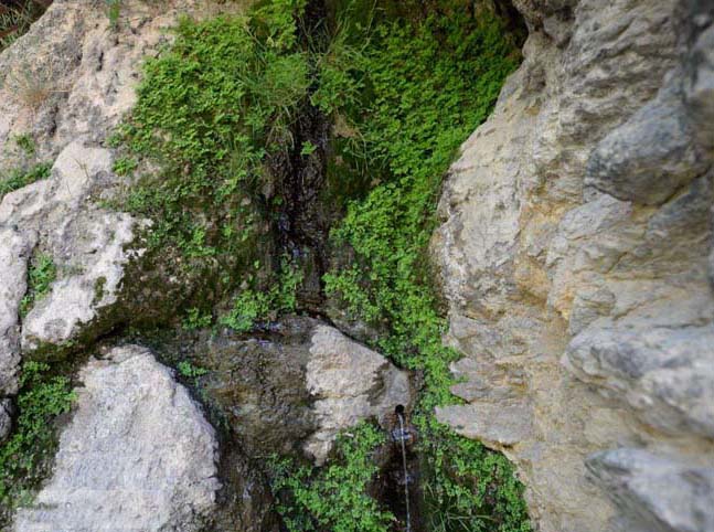 خمینی شهر خمینی شهر