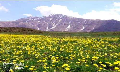 کوه چهل چشمه مریوان در بازدید از جاهای دیدنی مریوان