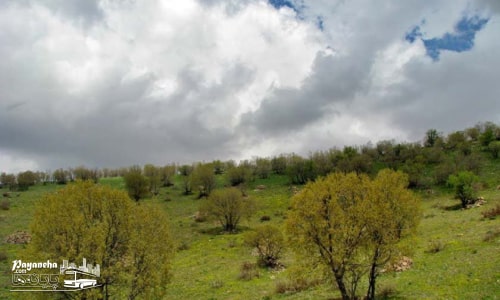 منطقه شاهو از بهترین جاهای دیدنی کامیاران