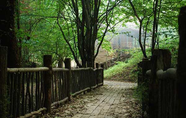پارک جنگلی سراوان