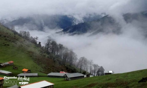 اقامتگاه های جنگل ابر