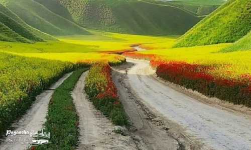 تصویری از روستای ماسان، یکی از جاهای دیدنی کامیاران