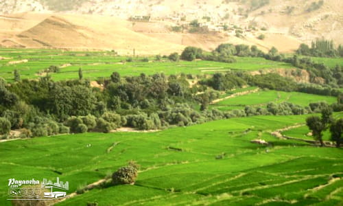 روستای رباط به‌عنوان مقصدی دنج از مکان های سرسبز اهواز