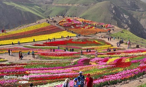 روستای کندر، روستایی دیدنی در میان جاهای دیدنی کرج