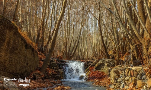 شاندیز مشهد کجاست