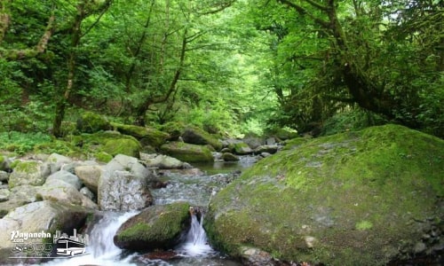 سیاهکلرود یکی از پرطرفدارترین جاهای دیدنی کلاچای در دل طبیعت بکر