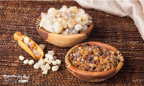 سوغات سقز در بازدید از جاهای دیدنی سقز چیست