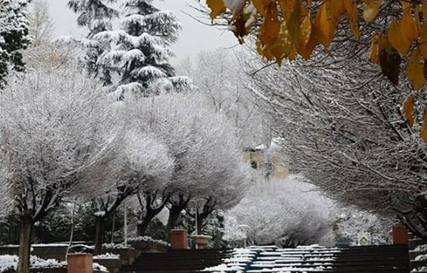 جاذبه های زمستانی تهران