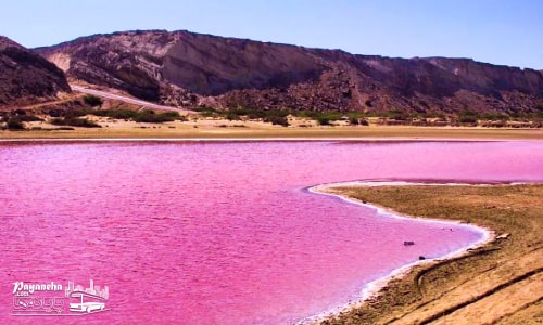 تالاب صورتی چابهار با رنگ شگفت انگیز